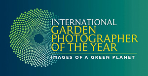 IGPOTY-Logo